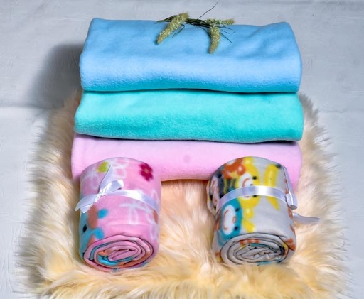 Baby Warmer